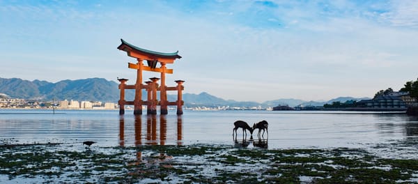 Autumn in Japan with the Fujifilm X100T